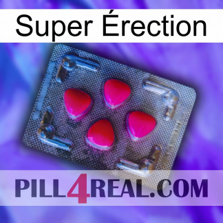 Super Érection 13